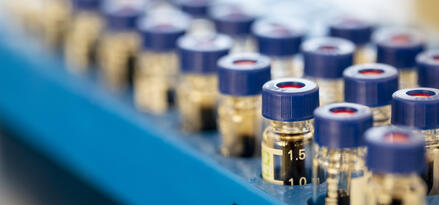 A row of small bottles filled with oil